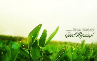 Photo V Jpeg Kn Green Tea