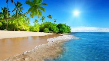 Tropical Beach Sea Calm Sunny Day Holiday