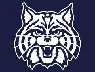 Arizona Wildcats