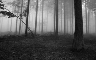 Fog Computer Wallpaper Desktop Background Id