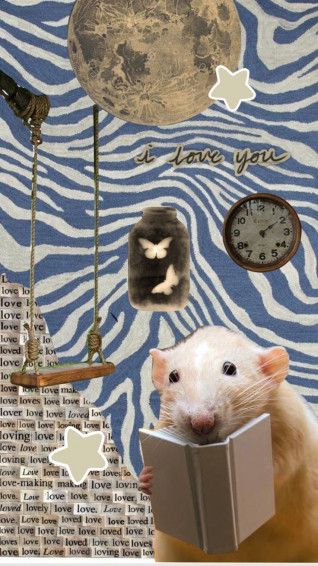 Check Out Maacifmaacif S Shuffles Rat Slay Bestcollage Funny
