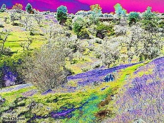 Art Category Psychedelic Nature Wallpaper Image Pink Purple Sky