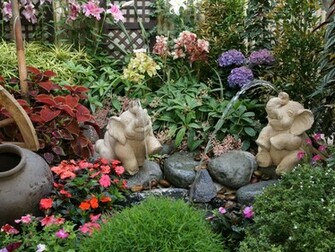 Deanne Morrison Flower Garden Background