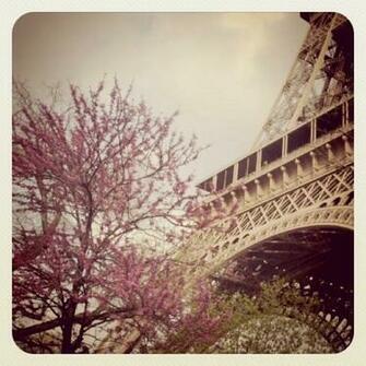 Paris Vintage Cuckoo