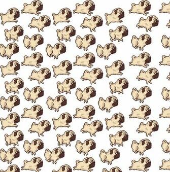 Judy Money On Pugs