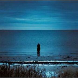 Steven Wilson Catalogue Preserve Amass Resident