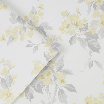 Apple Blossom Sunshine Wallpaper Laura Ashley