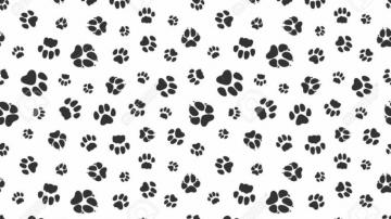 Pet Paw Pattern Animal Background With God Cat Paws