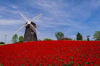 Windmill Computer Wallpaper Desktop Background