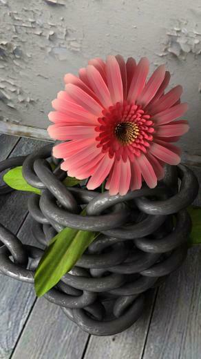 Not Lock The Spring iPhone 5s Wallpaper