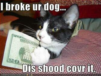 Funny Image Gallery Dog Pictures With Captions