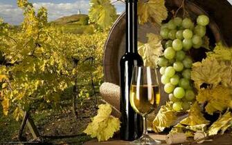 Wallpaper Wine White Tube Grapes Desktop In