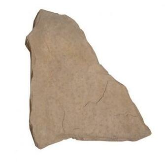 Shop Allen Roth Sandy Creek Sereno Patio Stone Common In X