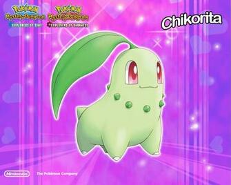Chikorita Pok Mon Wallpaper