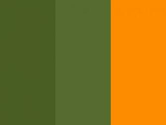 Dark Moss Green Olive And Orange Three Color