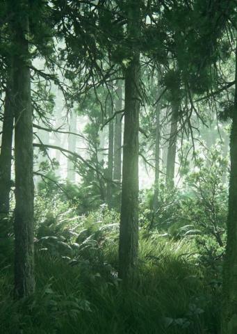 HD Wallpaper Green Tree The Last Of Us Part Ii Apocalyptic Video