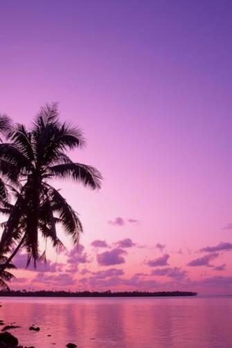 Pink Sunset Wallpaper