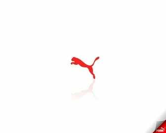 Puma Logo Wallpaper HD In Logos Imageci