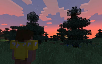 Minecraft Hunger Games By Codeisnine