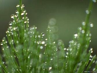 Desktop Background Slideshow Nature Best HD Wallpaper