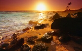 Sunny Beach Wallpaper