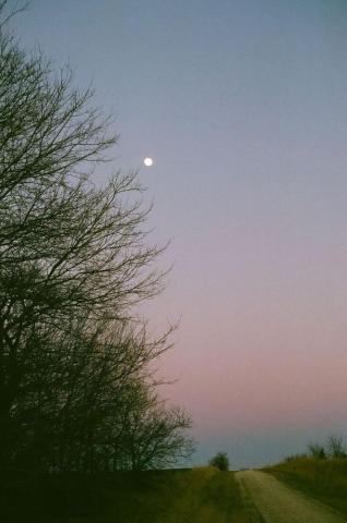 Tenderhearted Impressions Of Mother Nature By Ida Meadow Shoot