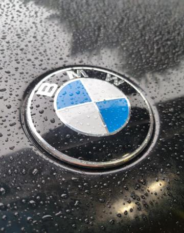 Bmw Logo Pictures Image
