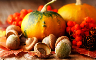 Thanksgiving Day Wallpaper