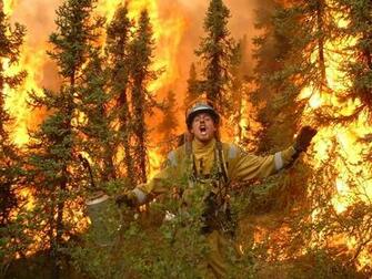 Funny Volunteer Firefighter Pictures Firetaco Points8 Points9