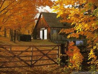 Desktop Wallpaper Fall Foliage In HD