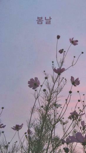 Bts Spring Day Wallpaper Lockscreens On We Heart It