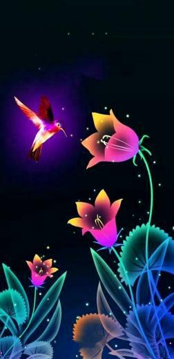 Hermoso Colibr Wallpaper For Your Phone Cellphone iPhone Xs