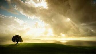 Nature Enlightenment Picture Nr