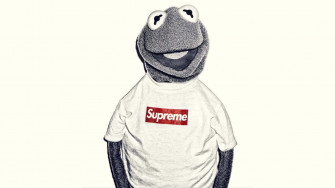 Aesthetic Kermit Wallpaper