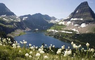 Glacier National Park Wallpaper Nature