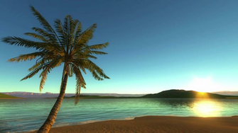 Beach Background Image Maco Palmex Co