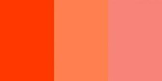 Coquelicot Coral Pink Three Color Background Jpg