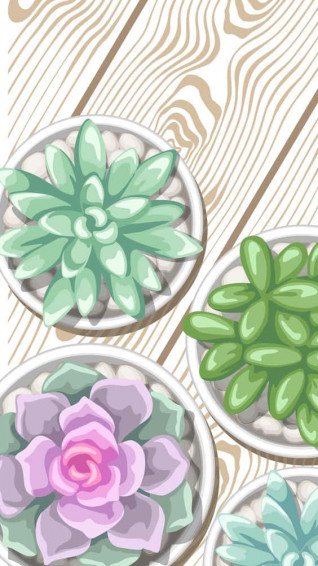Cactus iPhone Wallpaper