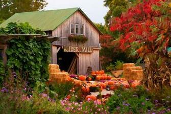 Photograph Vermont Pumpkins And Autumn Flowers By Jeff Folger
