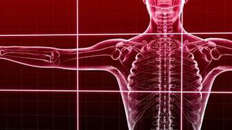 Is Manual Muscle Testing Reliable And Valid Circle Of Docs