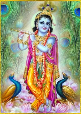 Lord Krishna Wallpaper Hindu Deities