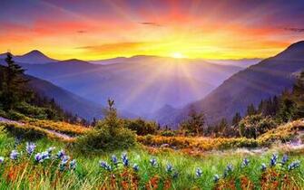 Amanecer Naturaleza Flores Paisaje Desktop