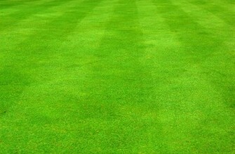 Tricks Wp Content Uploads Grass Background Clipart Jpg