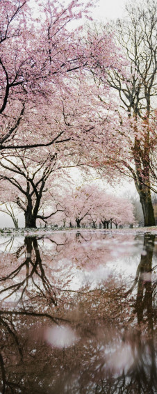 Best Things To Do In Washington Dc Scenery Landscape