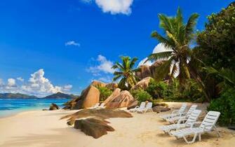 Beach Palm Trees HD Wallpaper Imagebank Biz