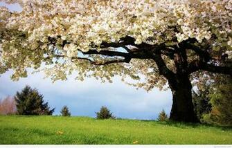 March April Spring Wallpaper