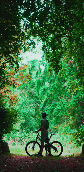 Mtb Wallpaper