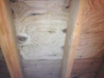 Mold Removal Remediation Randolph Nj Inspection Testing