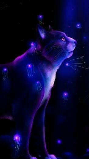 Neon Cat