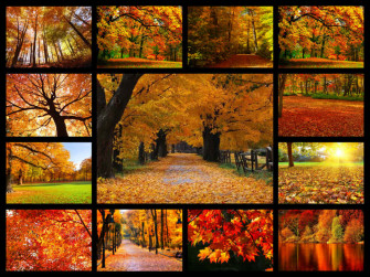 X Autumn Wallpaper